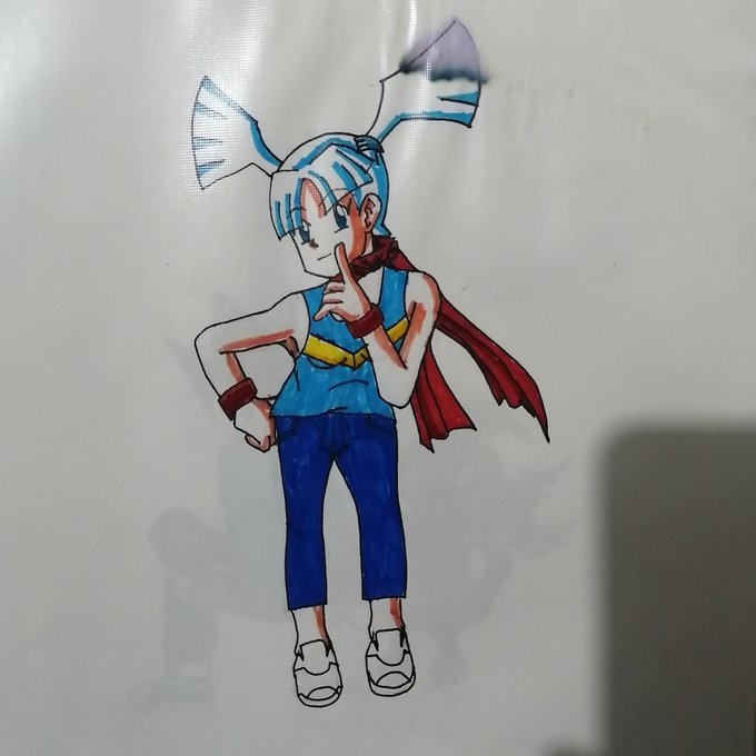 197 - Flying Type Girl Trainer Concept Character original.jpg