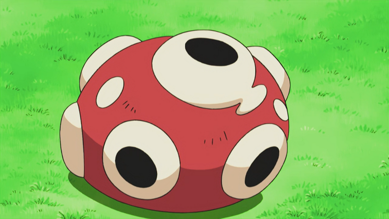 800px-Shuckle_shell.png