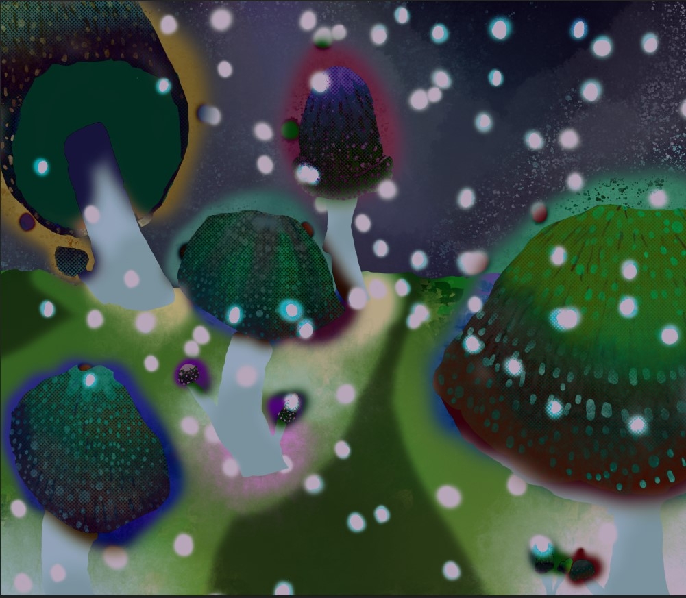 Midnight Mushroomland.jpg