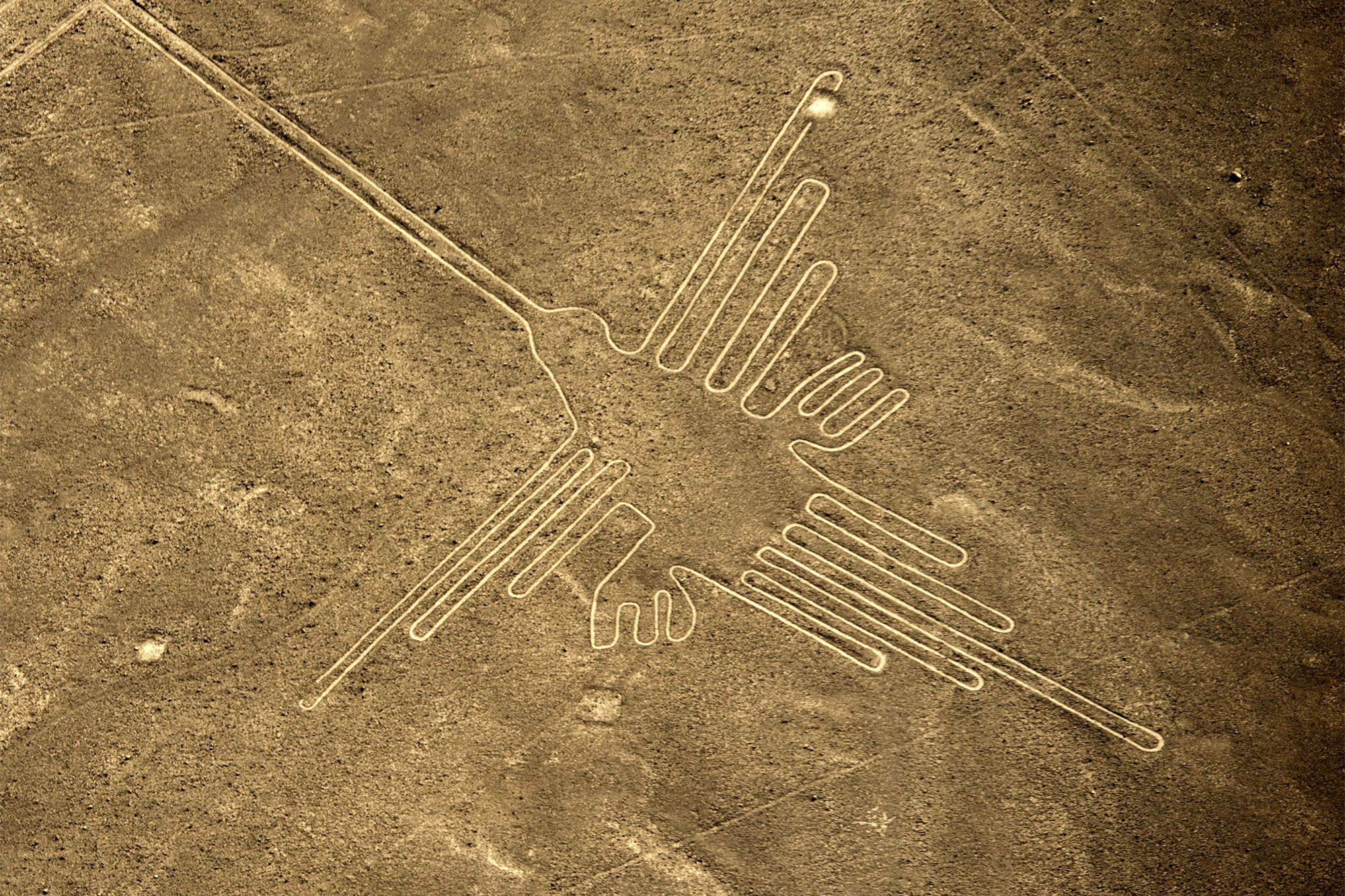 nazca-lines0bird.jpg