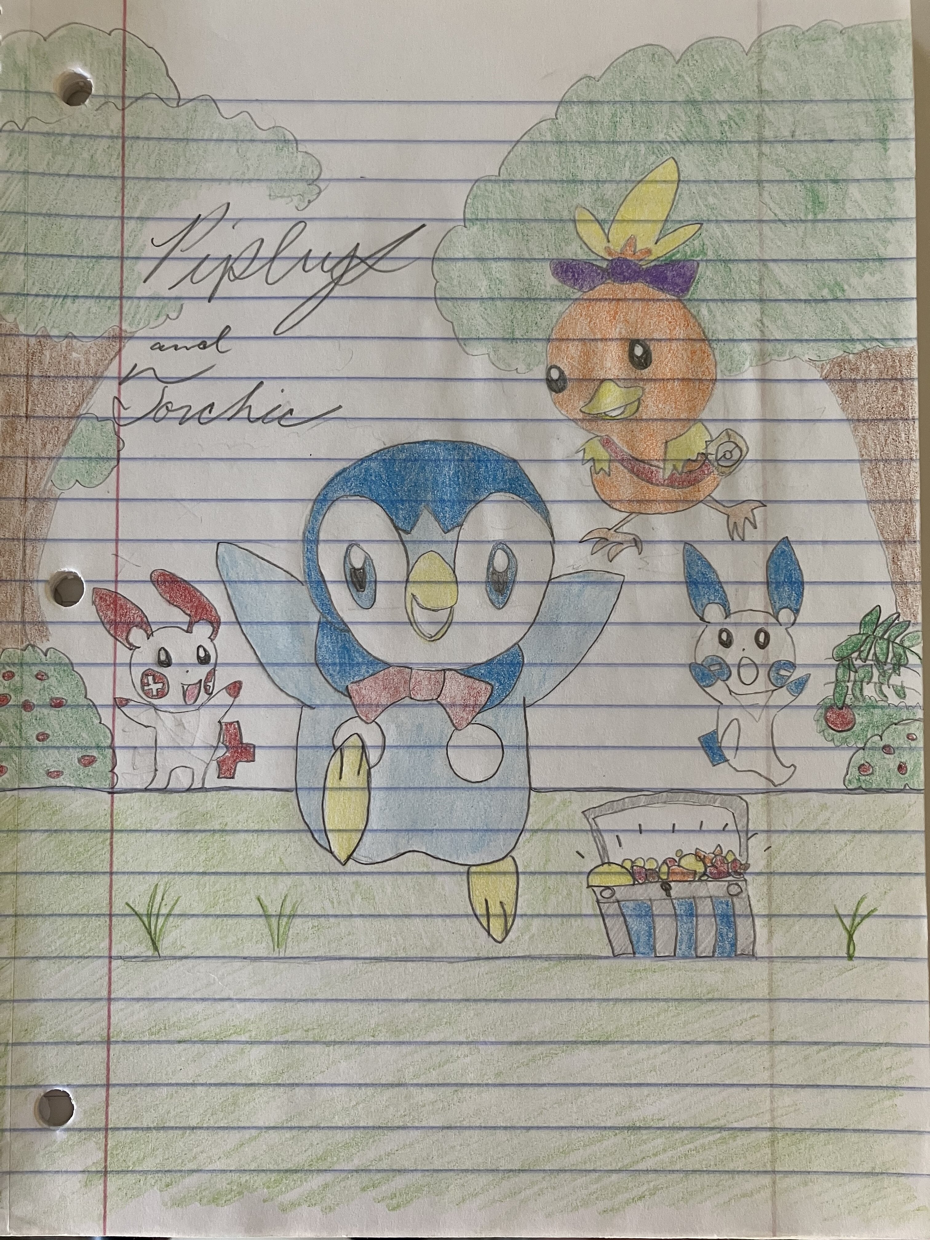 Piplup and Torchic.jpg