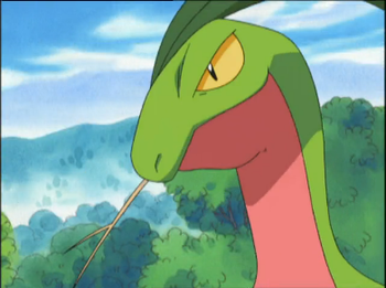 pokemon_exploud_and_clear_grovyle.png