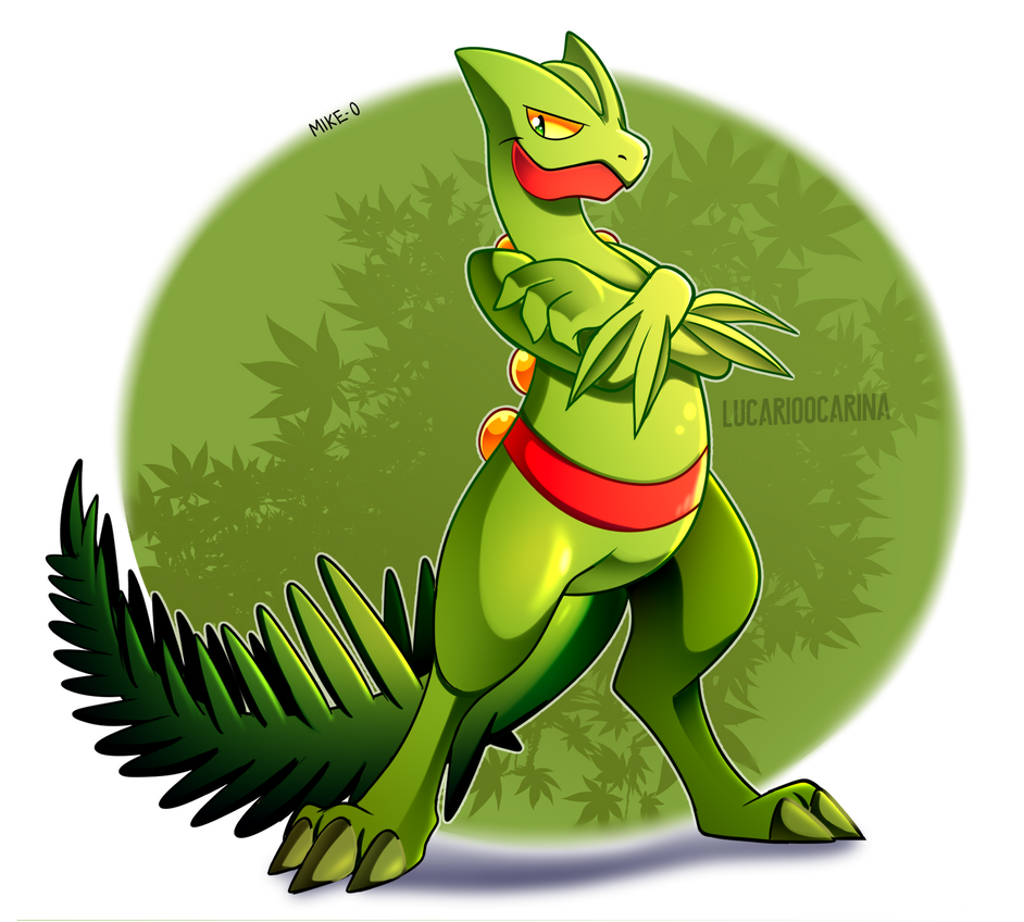 sceptile_by_puppercase_dcobn21-pre.png