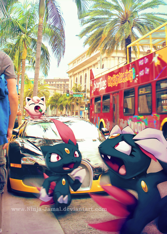 sneasel city.png