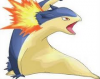 Typhlosion 3.PNG