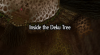 Inside_the_Deku_Tree_OoT_screenshot.png