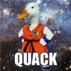 space Duck.jpg