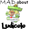 MADaboutLudicolo.png