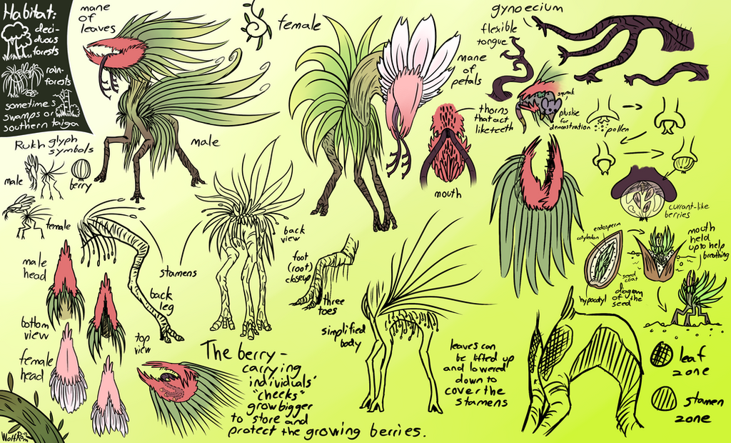 rootfoot_ref_by_wolframclaws-d5x2f9i.png