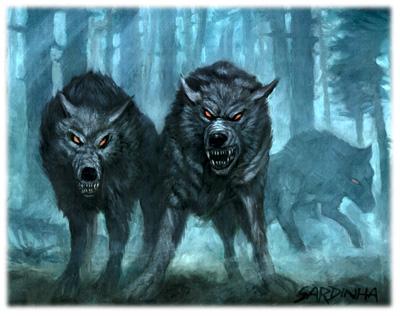 mad-wolves.jpg