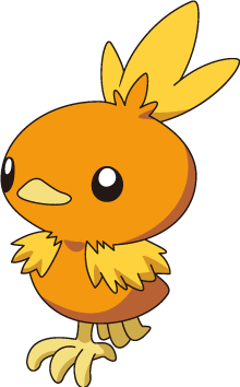 255Torchic_XY_anime.png