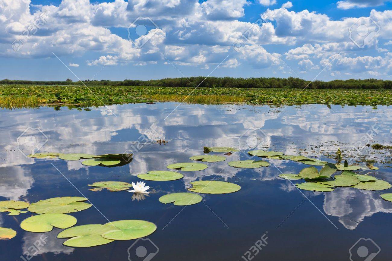 12539458-a-beautiful-lake-in-danube-delta-romania.jpg